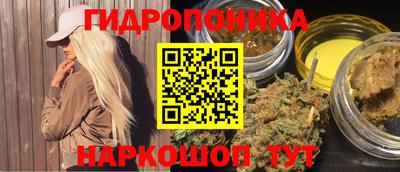 гидра Моздок