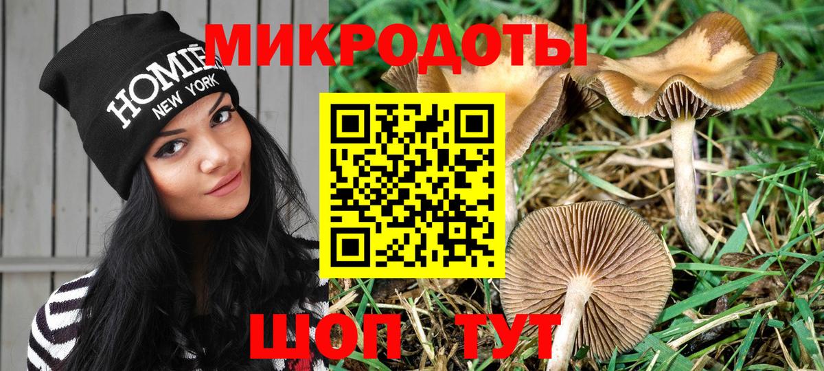 Галлюциногенные грибы Cubensis  Псилоцибиновые грибы Psilocybine cubensis  Соликамск  Вход с VPN 